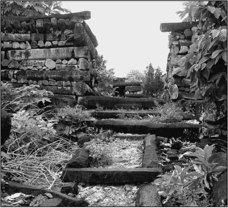 Иллюстрация к книге — 500 великих загадок истории [i_025.jpg]