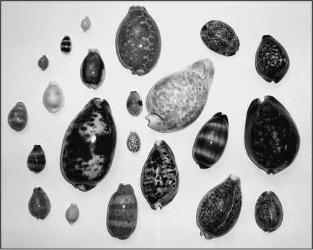 Иллюстрация к книге — 500 великих загадок истории [i_027.jpg]