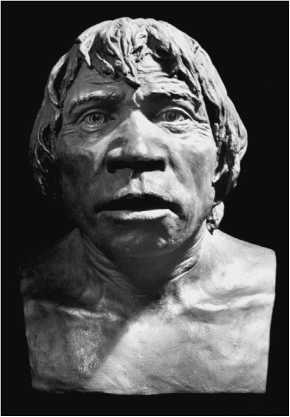 Иллюстрация к книге — 500 великих загадок истории [i_030.jpg]