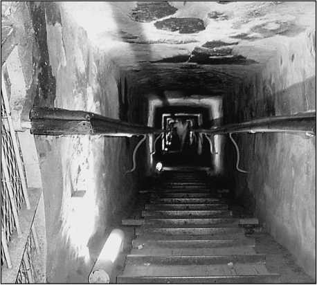 Иллюстрация к книге — 500 великих загадок истории [i_124.jpg]