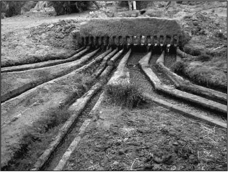 Иллюстрация к книге — 500 великих загадок истории [i_154.jpg]