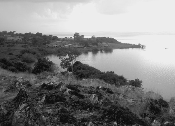 Иллюстрация к книге — 500 великих загадок истории [i_167.jpg]