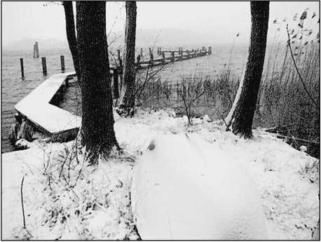 Иллюстрация к книге — 500 великих загадок истории [i_319.jpg]