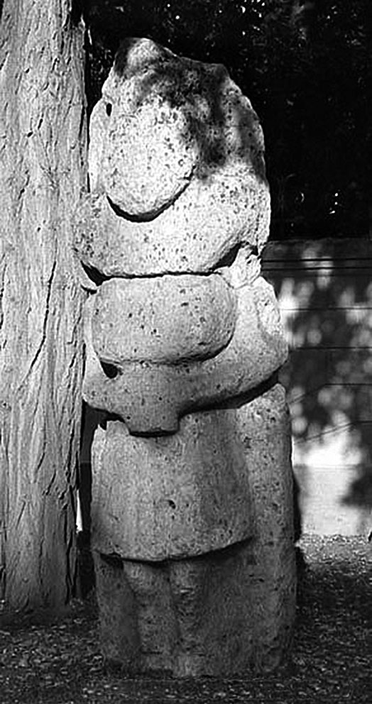 Иллюстрация к книге — Печенеги, торки и половцы [i_021.jpg]