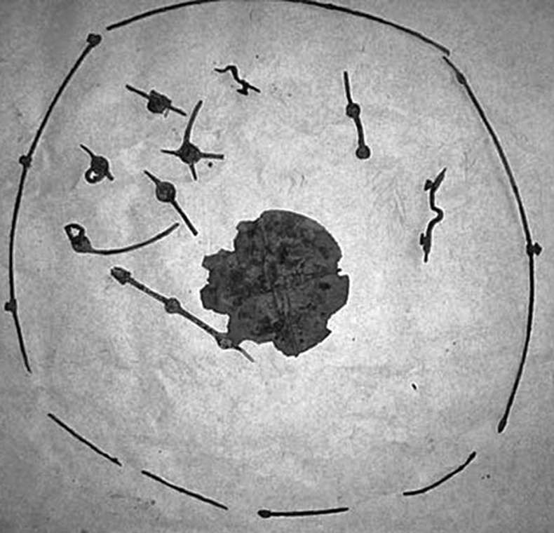 Иллюстрация к книге — Печенеги, торки и половцы [i_022.jpg]