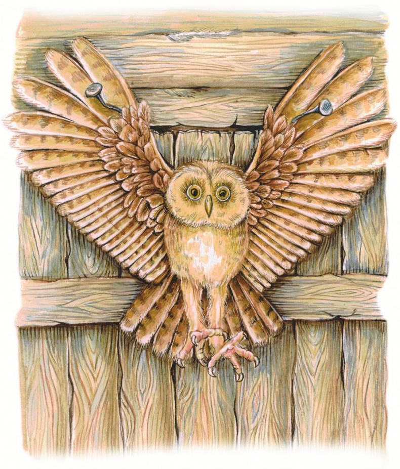 Иллюстрация к книге — Загадочные существа [i_005.jpg]