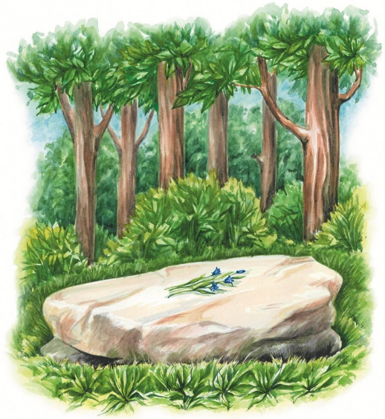 Иллюстрация к книге — Загадочные существа [i_017.jpg]