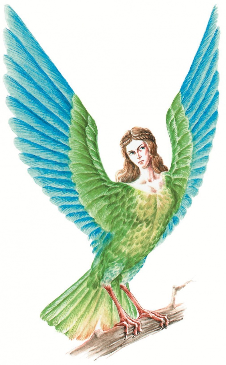 Иллюстрация к книге — Загадочные существа [i_023.jpg]