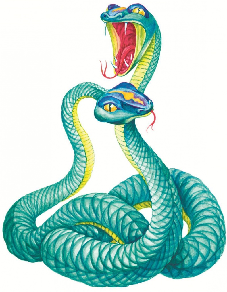 Иллюстрация к книге — Загадочные существа [i_025.jpg]