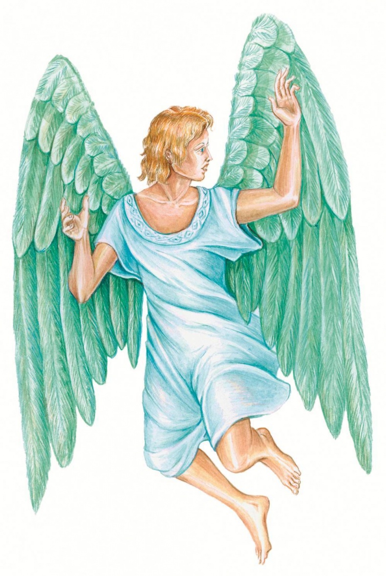 Иллюстрация к книге — Загадочные существа [i_026.jpg]