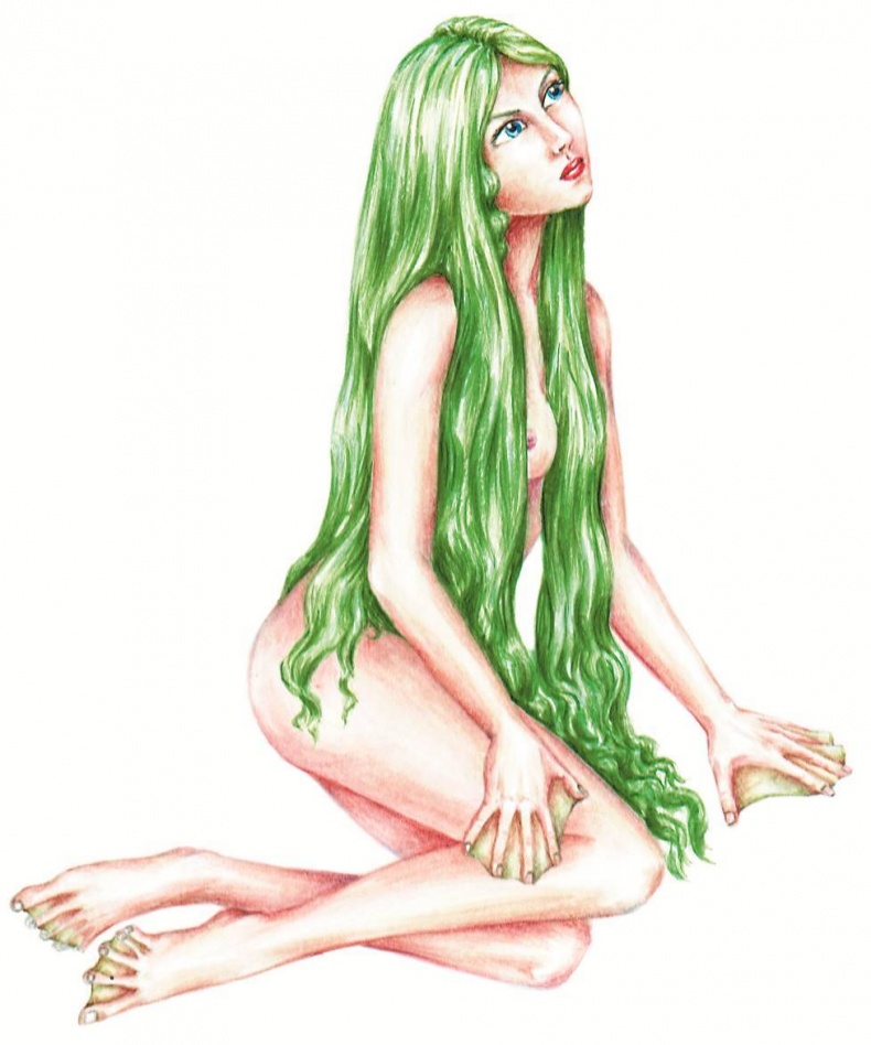 Иллюстрация к книге — Загадочные существа [i_028.jpg]