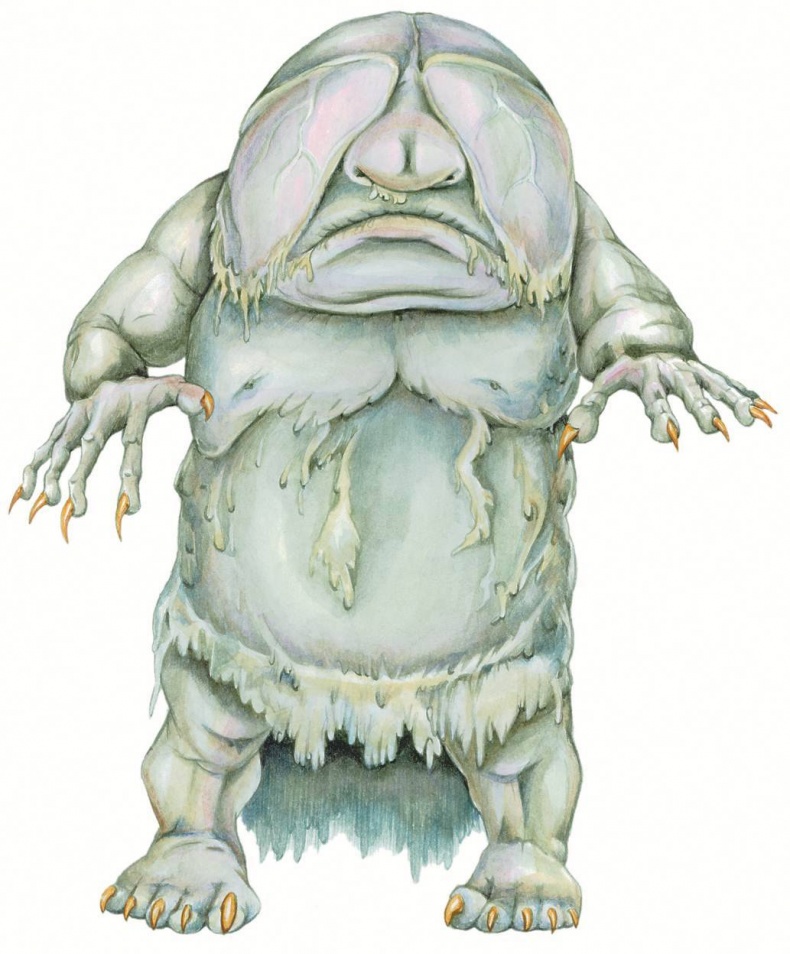 Иллюстрация к книге — Загадочные существа [i_053.jpg]