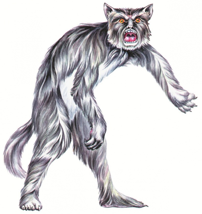 Иллюстрация к книге — Загадочные существа [i_057.jpg]