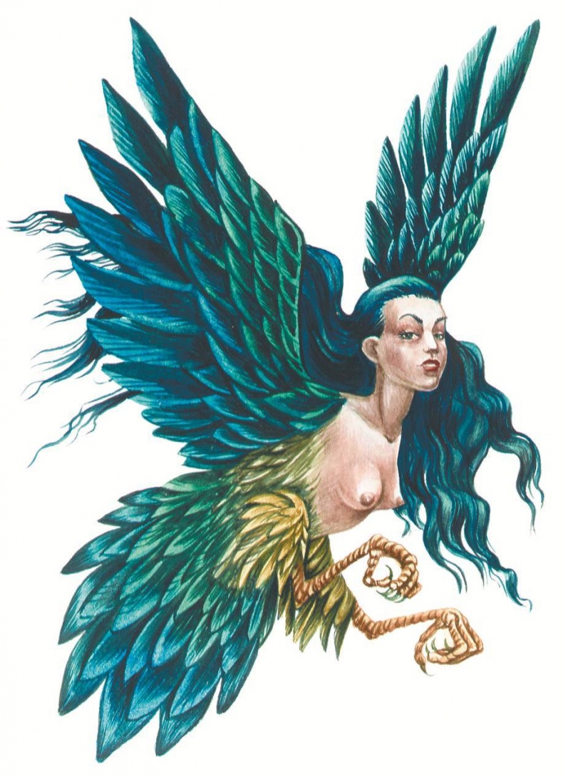 Иллюстрация к книге — Загадочные существа [i_058.jpg]