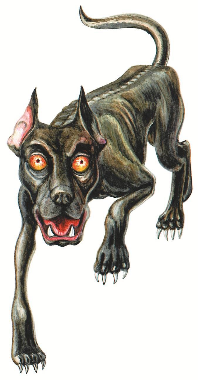 Иллюстрация к книге — Загадочные существа [i_065.jpg]