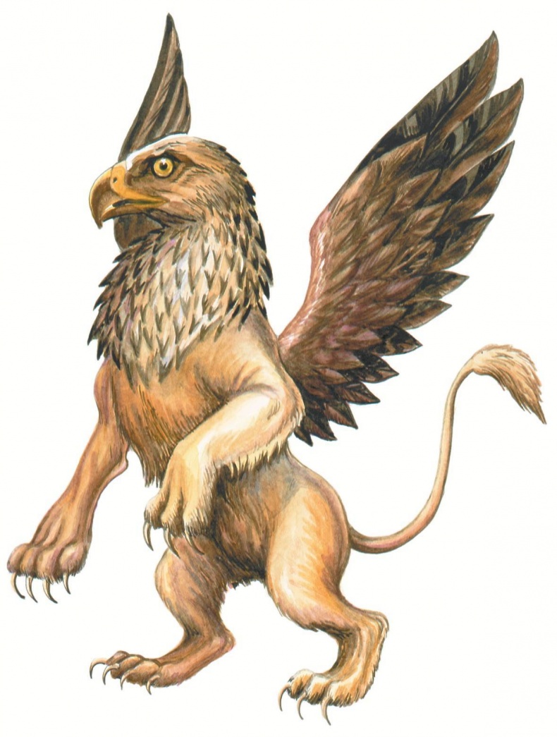 Иллюстрация к книге — Загадочные существа [i_066.jpg]