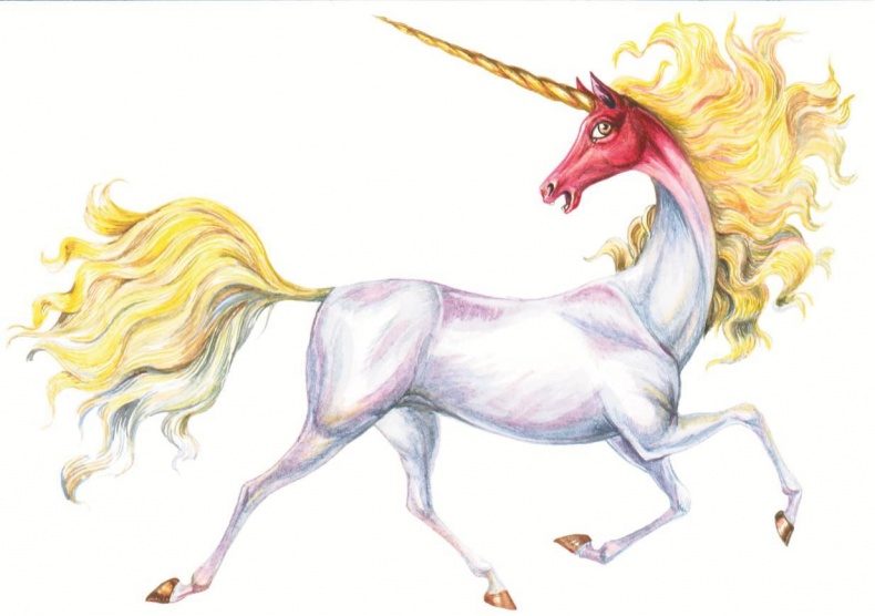 Иллюстрация к книге — Загадочные существа [i_073.jpg]