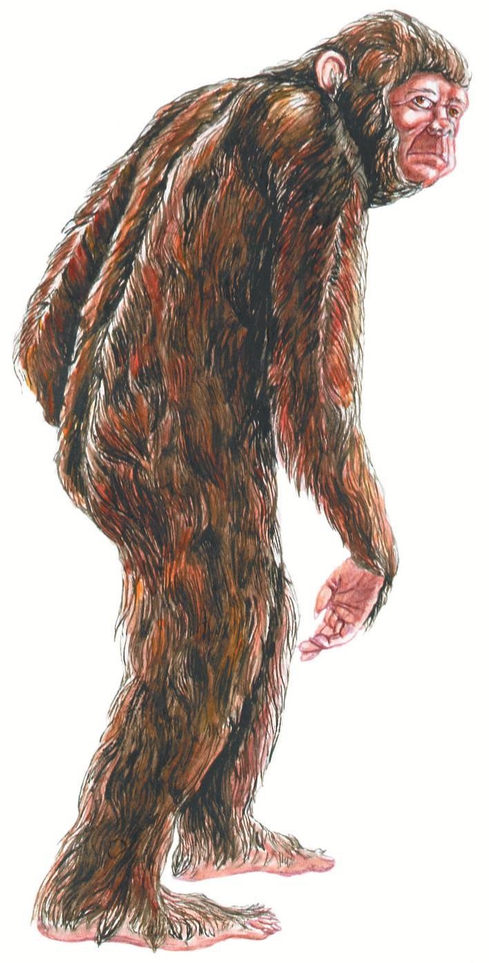 Иллюстрация к книге — Загадочные существа [i_076.jpg]