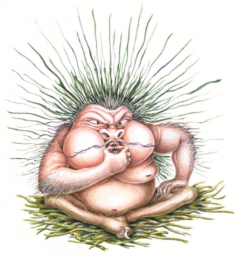 Иллюстрация к книге — Загадочные существа [i_121.jpg]