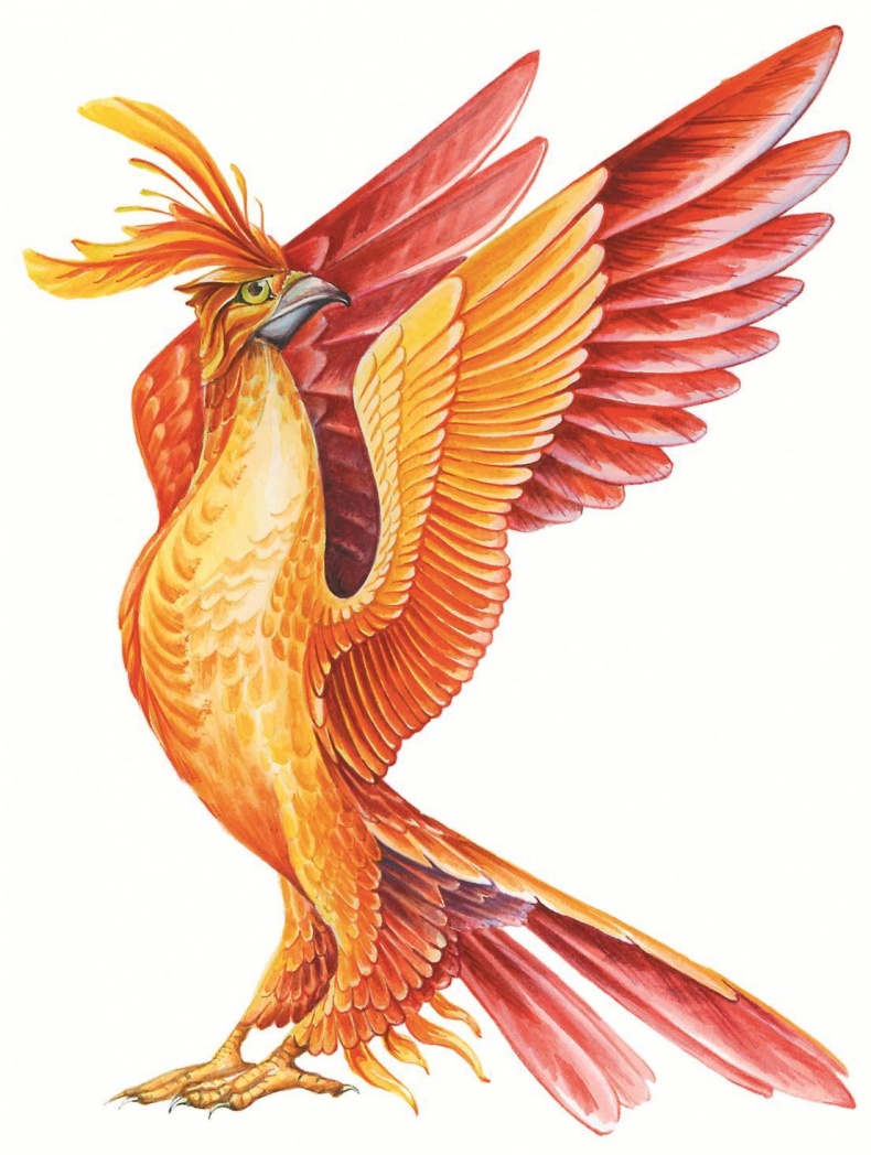 Иллюстрация к книге — Загадочные существа [i_128.jpg]