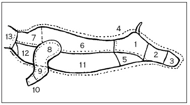 Иллюстрация к книге — Здоровая русская кухня [i_174.jpg]