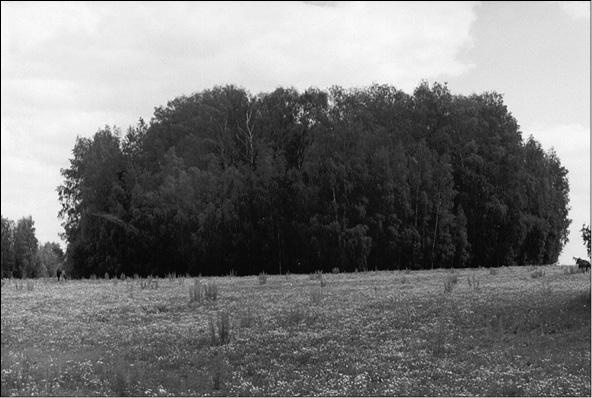 Иллюстрация к книге — Боги Лесного Заволжья. Путешествие по старым русским рубежам [i_001.jpg]