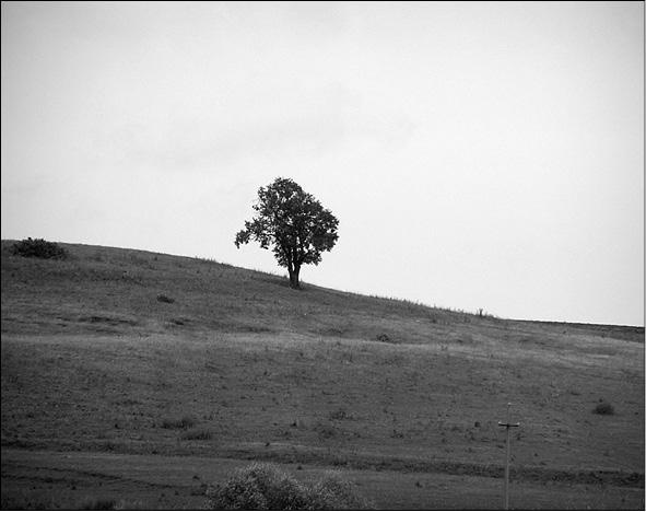 Иллюстрация к книге — Боги Лесного Заволжья. Путешествие по старым русским рубежам [i_024.jpg]