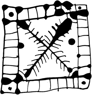 Иллюстрация к книге — Меня зовут Аглая [i_014.jpg]