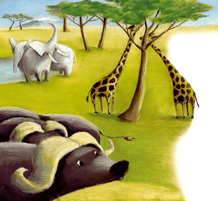 Иллюстрация к книге — Мировые мишки. Истории со всего света [i_103.jpg]