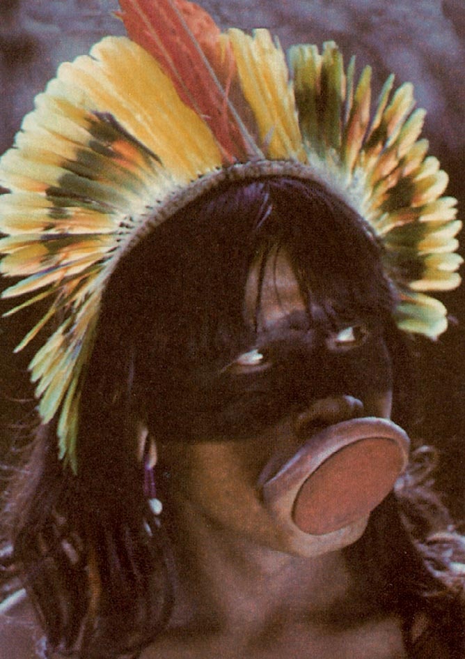 Иллюстрация к книге — Голый человек [i_104.jpg]