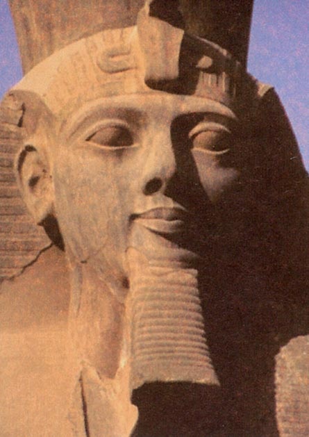 Иллюстрация к книге — Голый человек [i_110.jpg]