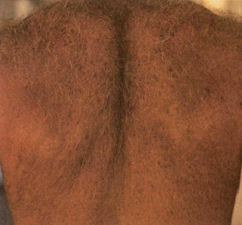 Иллюстрация к книге — Голый человек [i_136.jpg]