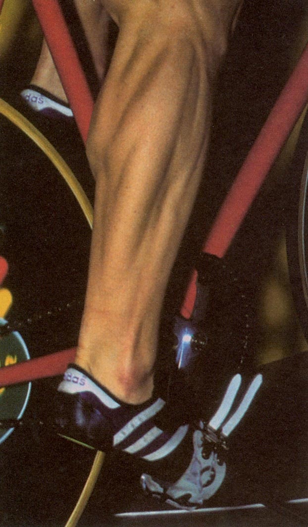 Иллюстрация к книге — Голый человек [i_147.jpg]