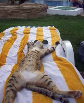 Иллюстрация к книге — Как заняться тем, что планировала и прекратить саботировать собственное будущее. Антисамосаботаж. Книга-тренинг [i_020.jpg]