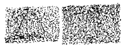 Иллюстрация к книге — Недоверчивые умы. Чем нас привлекают теории заговоров [i_002.jpg]