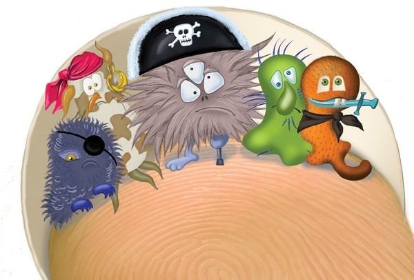 Иллюстрация к книге — Крокозябры [i_001.jpg]