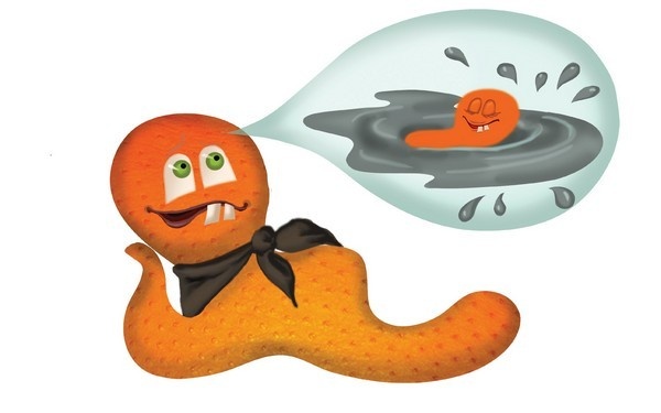 Иллюстрация к книге — Крокозябры [i_002.jpg]