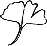 Иллюстрация к книге — Смотреть и видеть. Путеводитель по искусству восприятия [i_004.jpg]