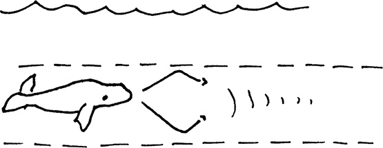 Иллюстрация к книге — Смотреть и видеть. Путеводитель по искусству восприятия [i_012.jpg]