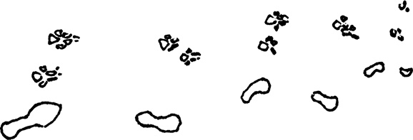 Иллюстрация к книге — Смотреть и видеть. Путеводитель по искусству восприятия [i_014.jpg]