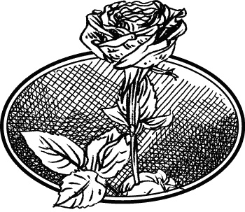 Иллюстрация к книге — Английская лаванда [_045.jpg]