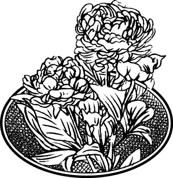 Иллюстрация к книге — Английская лаванда [_052.jpg]