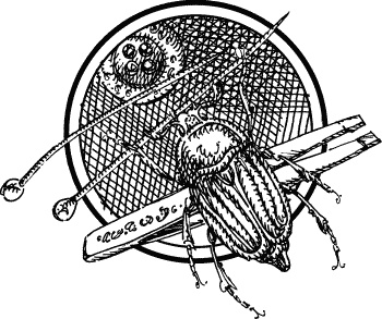 Иллюстрация к книге — Английская лаванда [_072.jpg]