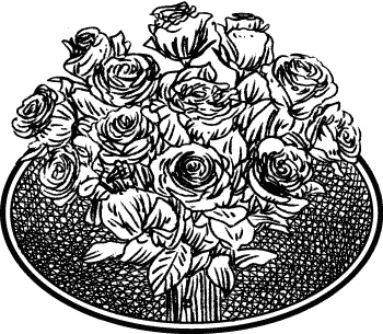 Иллюстрация к книге — Английская лаванда [_073.jpg]