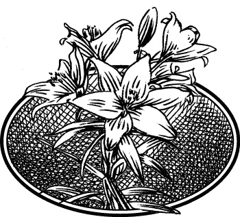 Иллюстрация к книге — Английская лаванда [_083.jpg]