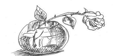 Иллюстрация к книге — Как помочь любимому, или О вреде жалости. Книга-тренинг [i_010.jpg]