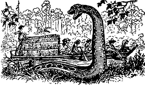 Иллюстрация к книге — Затерянный город Z [i_014.jpg]