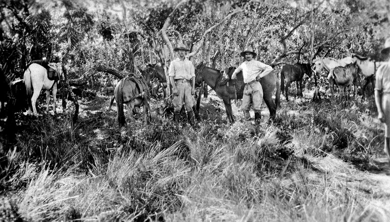 Иллюстрация к книге — Затерянный город Z [i_017.jpg]