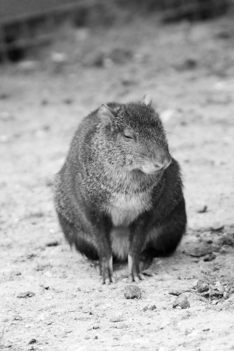 Иллюстрация к книге — Тайны мужчины и женщины [i_015.jpg]