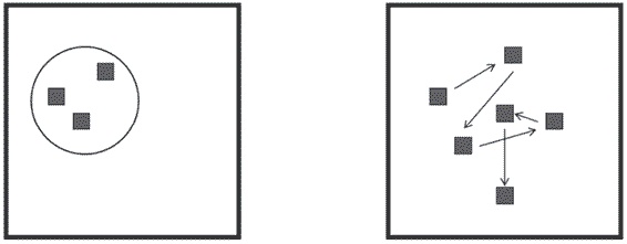 Иллюстрация к книге — Удивительные истории о мозге, или рекорды памяти коноплянки [i_009.jpg]